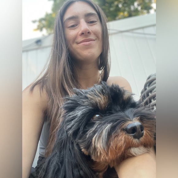 Meet your Posher, Sydney - Picture 1 of 2